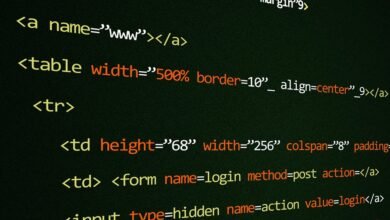 secure web development services