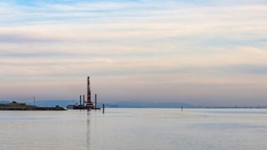 smart online expansion platform